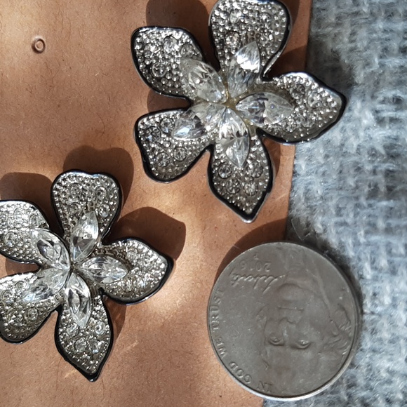 Pave & Crystal Earrings - Picture 1 of 3
